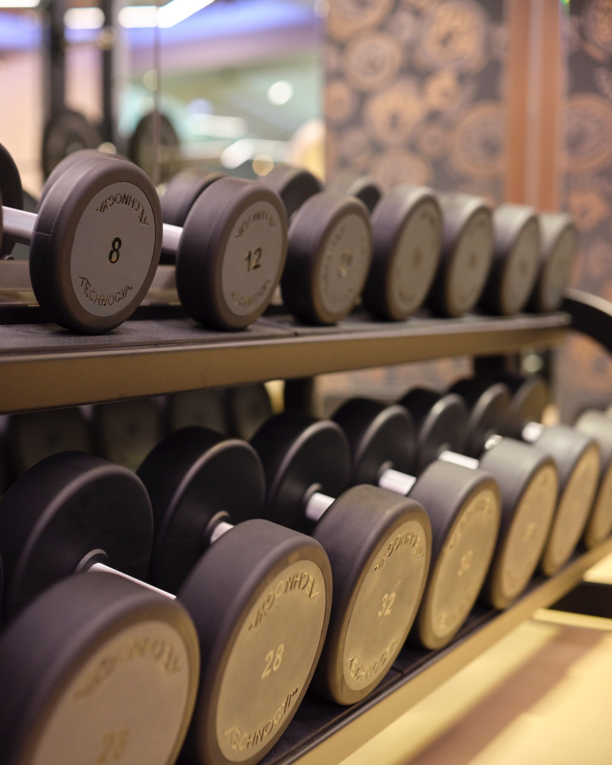 KEF SPA & Fitness weights gym